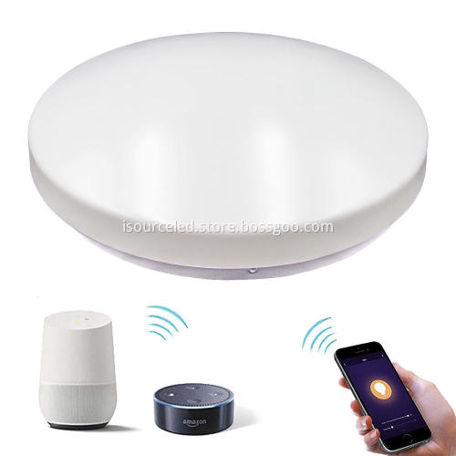 White acrylic 20w-40w ceiling light outdoor lighting